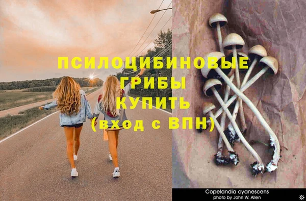 mdpv Белокуриха